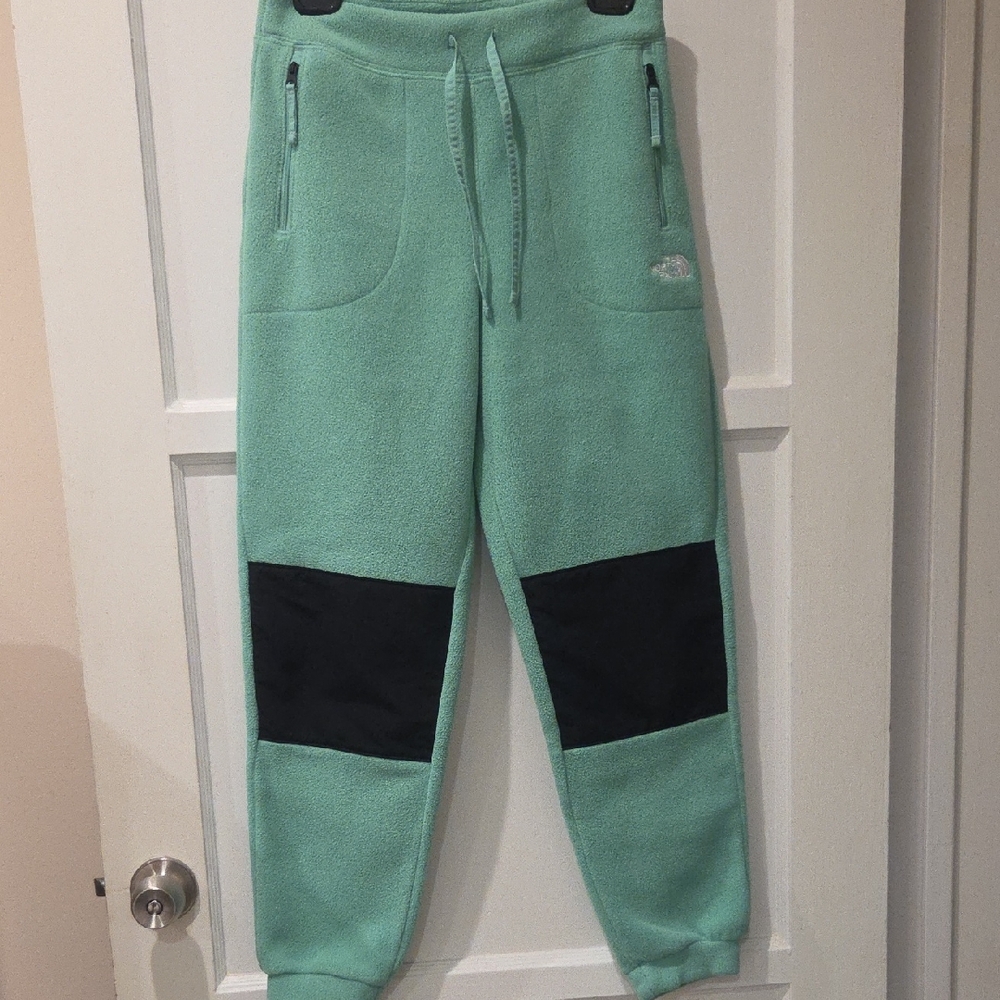 North Face Women's Alpine Polartec 200 Pants